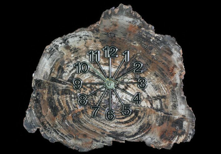 Wide Arizona Petrified Wood Clock #66833